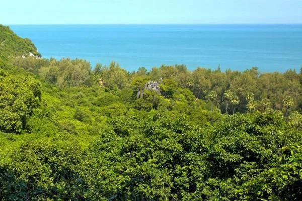 Forested hills above the Gulf of Thailand